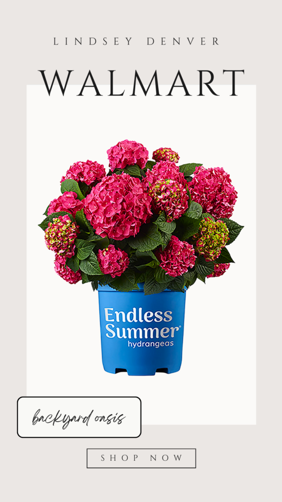 image of Walmart's Summer Hydrangeas
