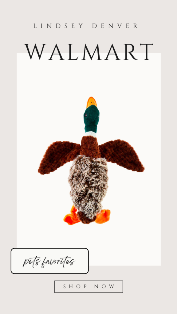 duck that honks dog toy from walmart